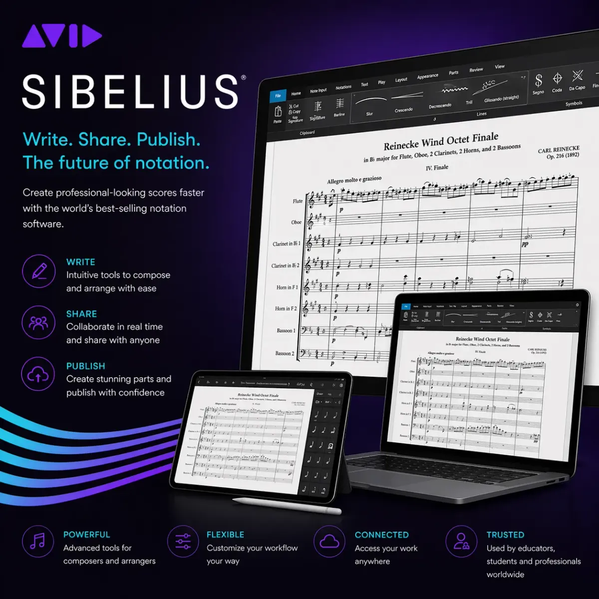 Sibelius screenshot