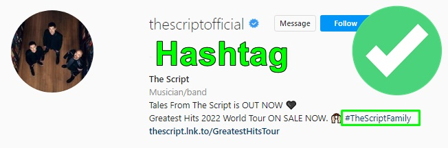 irish band the script social media bio details