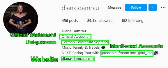 singer diana damrau social profile